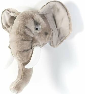 Trophée Elephant - George