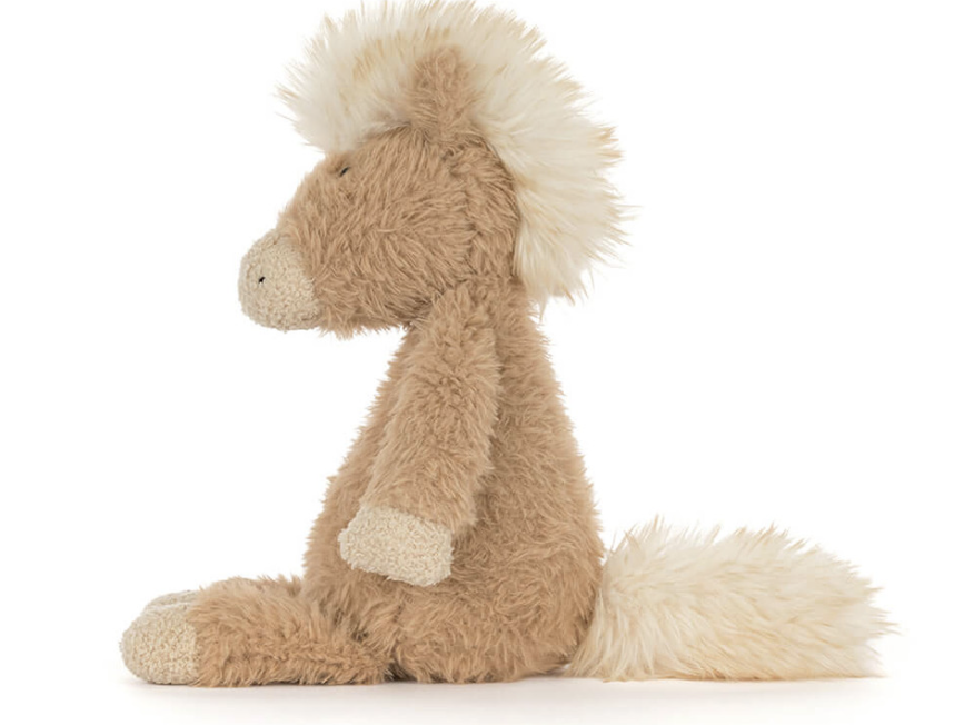 Canterneigh Pony