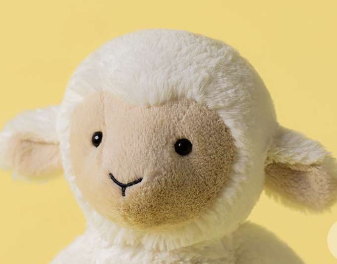 Peluche - Mouton - Skipson Lamb
