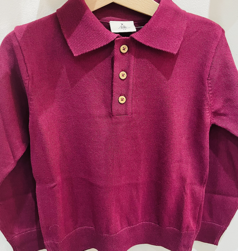 Pull polo Gustave tricot cassis