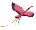 Cerf-volant - Flamand rose