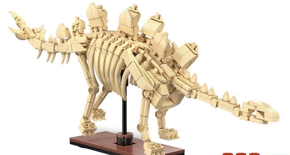 Cada - Squelette de Stegosaurus