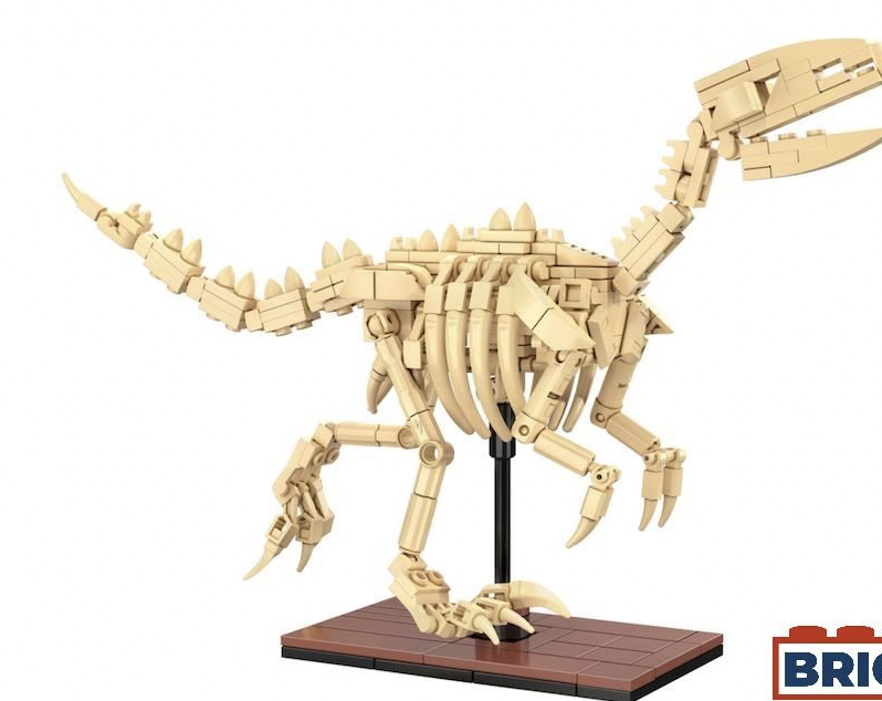 Cada - Squelette de Velociraptor