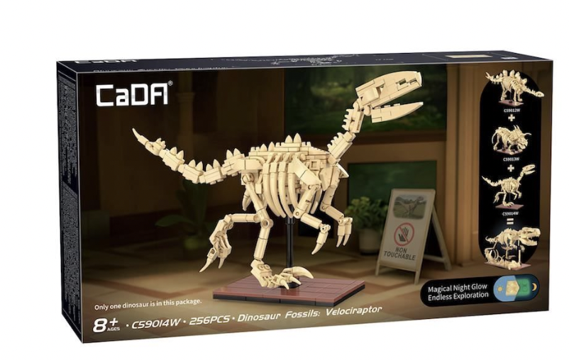 Cada - Squelette de Velociraptor