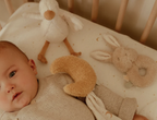Coffret cadeau - Newborn naturel