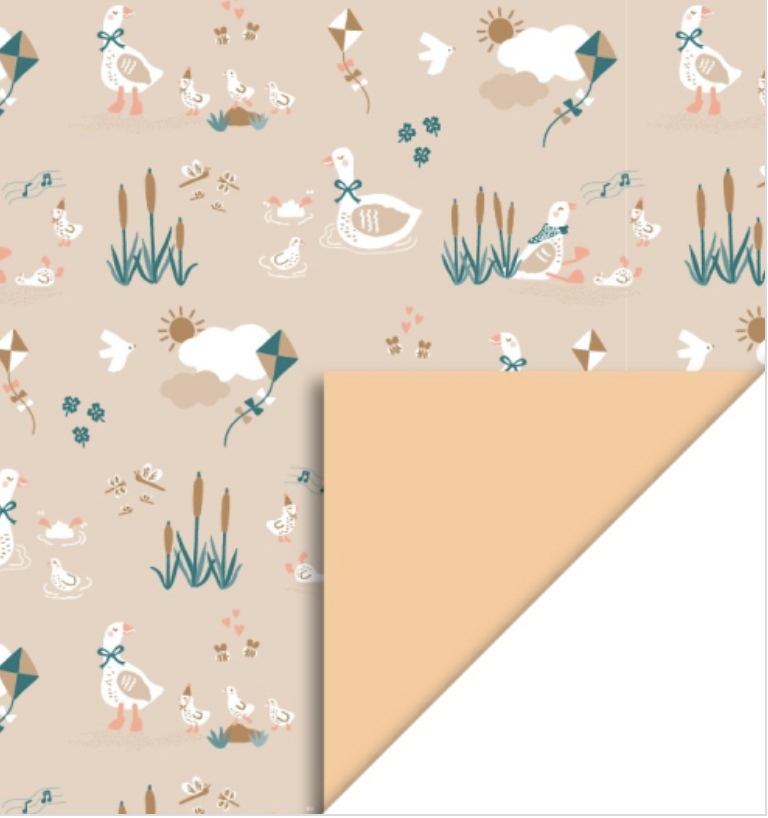 Rouleau Papier Cadeau - 3mx70cm