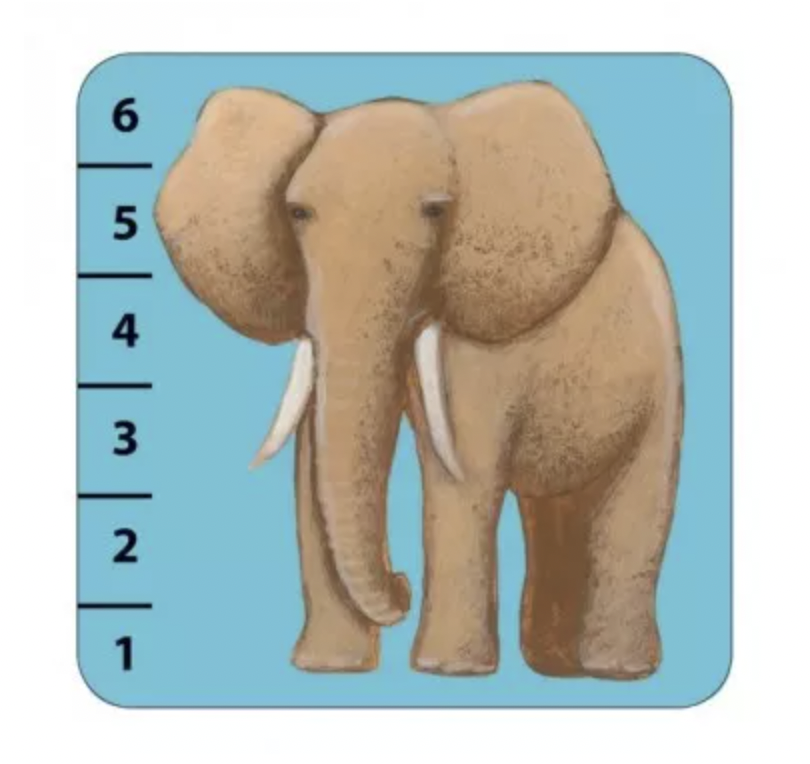 Jeu de cartes - Batanimo