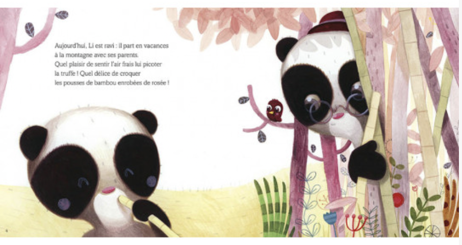 Petit panda - cherche un ami