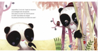 Petit panda - cherche un ami