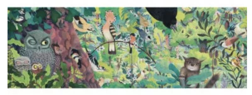 Puzzle - Owls and birds