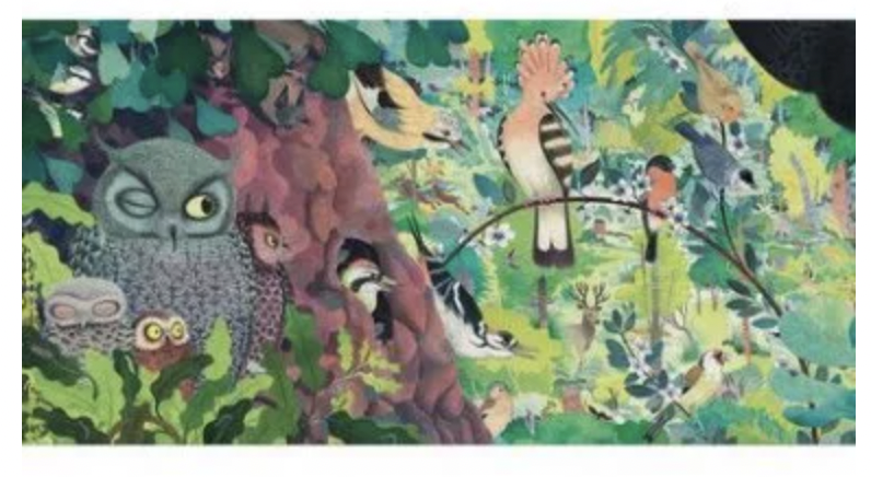 Puzzle - Owls and birds