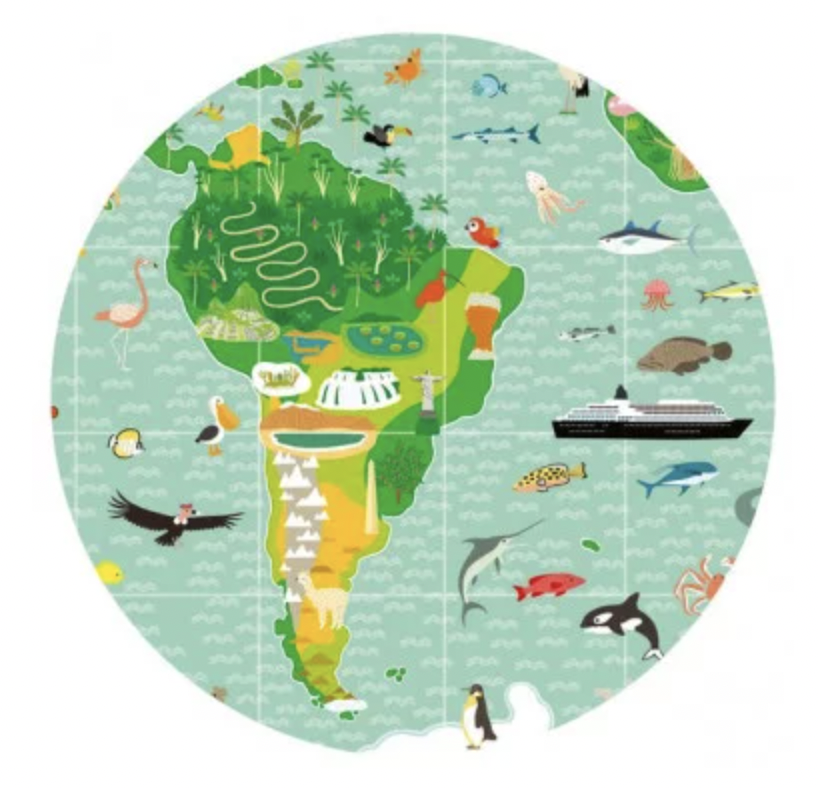 Puzzle observation - Tour du monde