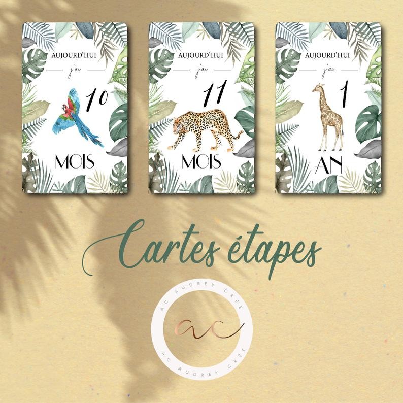 Cartes étapes Safari