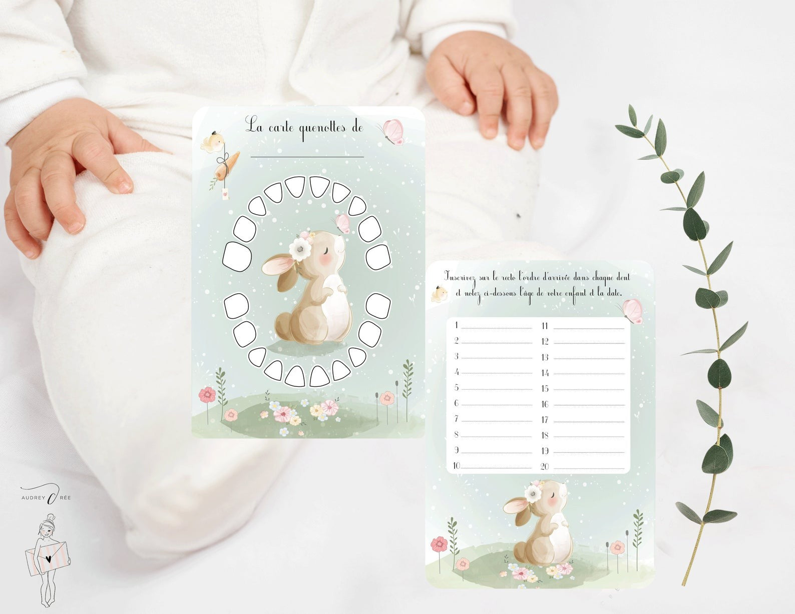 Carte Quenottes Lapin