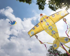 Cerf-volant - Maxi Plane