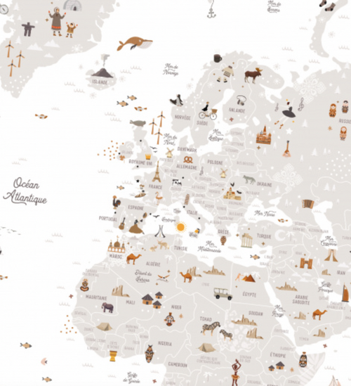 Affiche "Carte du monde"