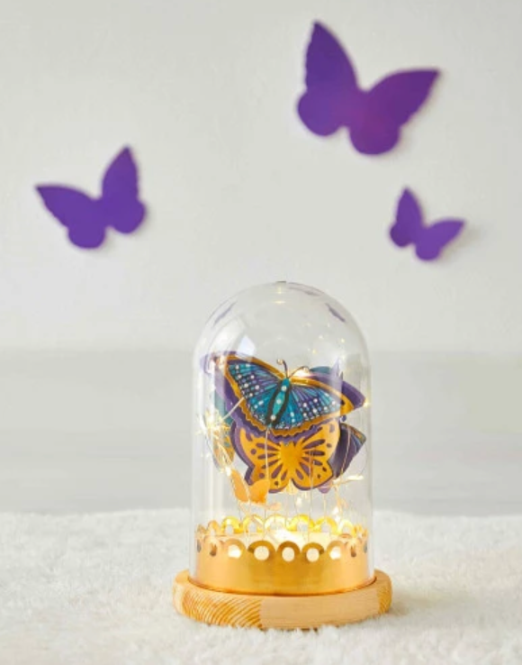 Les ateliers déco - Cloche lumineuse - Papillons à créer