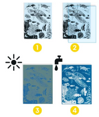 Cyanotype Outremer