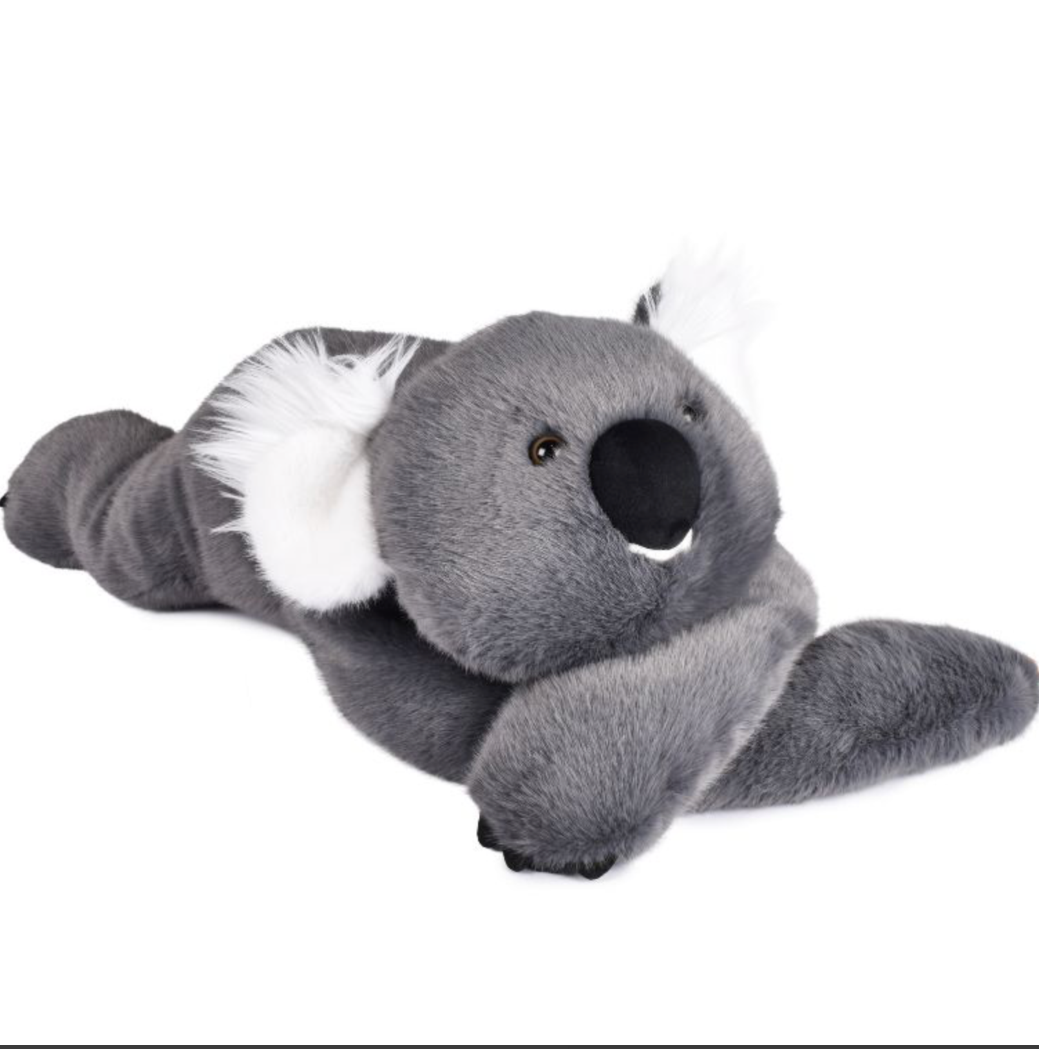 Podcoll - Koala 50 cm