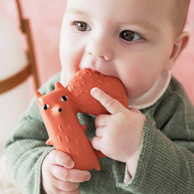 Anneau de dentition - Cyril Squirrel Fox