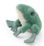 Grenouille - Tout autour du monde