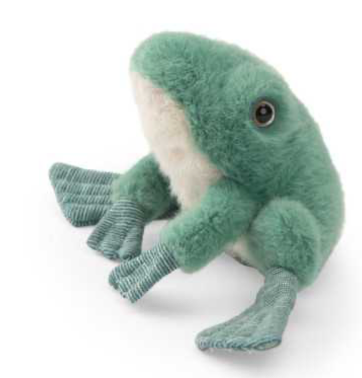 Grenouille - Tout autour du monde