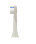 Tête de brosse à dent Zoo