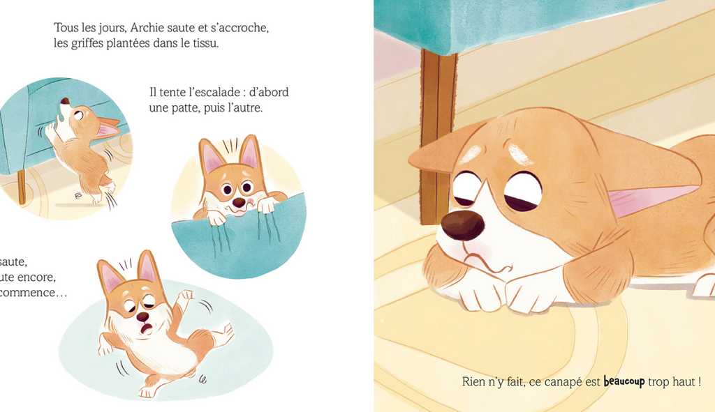Archie - Petit corgi, grand défi