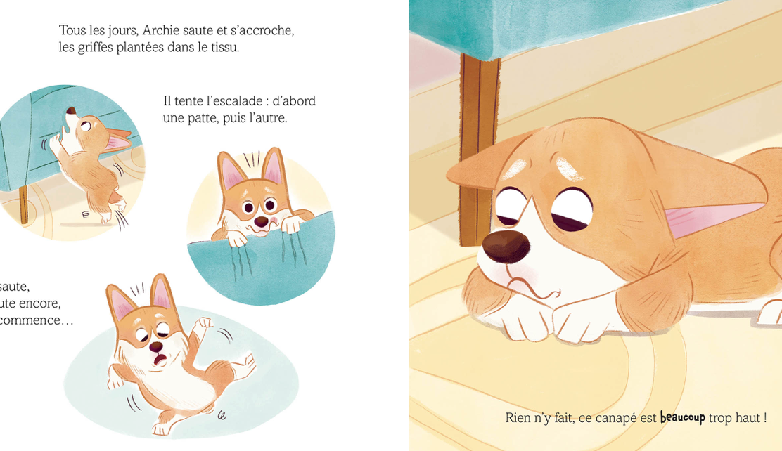 Archie - Petit corgi, grand défi