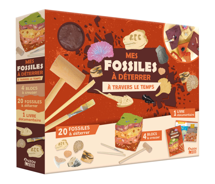 Mes fossiles à déterrer