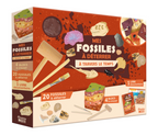 Mes fossiles à déterrer