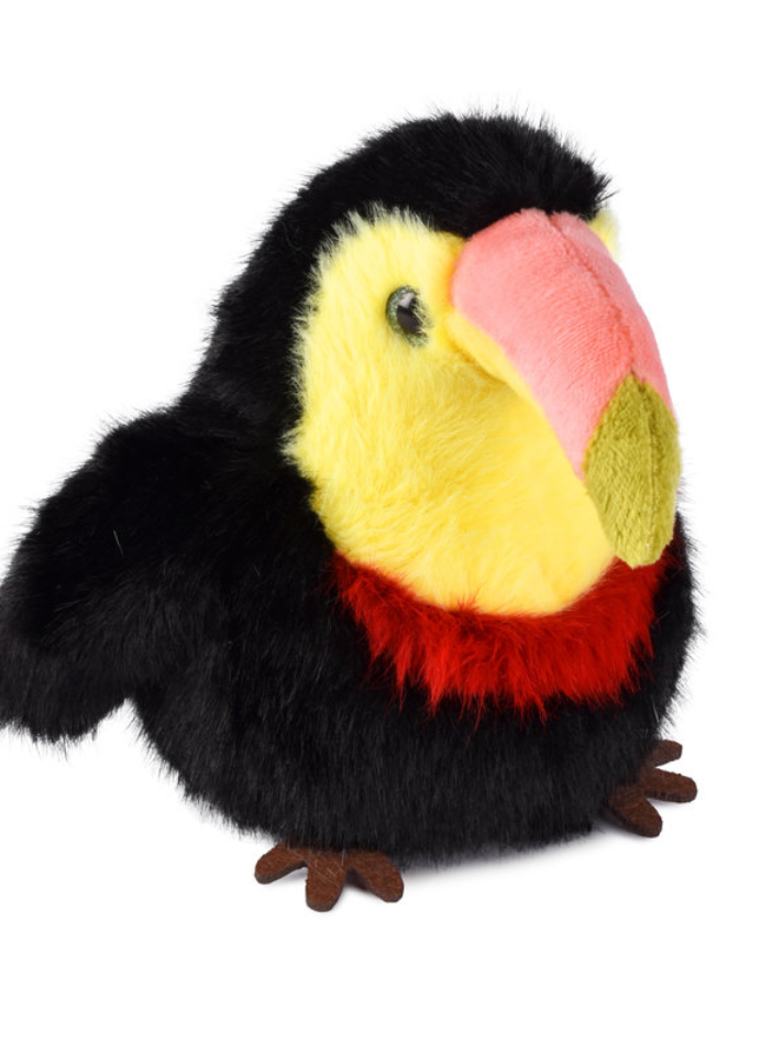 Les cui cui du paradis - Toucan